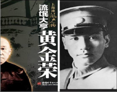 于字里行间无意发觉总统蒋介股履历