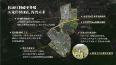 岸君粼是一个很是不错的选择